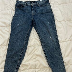 Banana Republic Indigo Skinny Jeans
